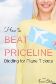 How to Beat Priceline Bidding for Plane Tickets